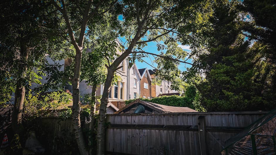A viewpoint through dense, leafless shrubbery and intertwining branches reveals the sky above, with a few white clouds scattered over a clear blue background. Behind the foliage, there is a view of re