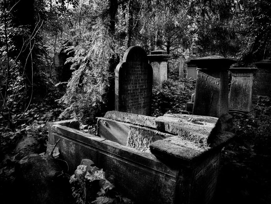 Black and white photograph of an outdoor graveyard scene with several old, weathered headstones and a large stone tomb. The tomb appears to be partially collapsed or in disrepair, with moss and lichen growing on its surface. Surrounding the graves are dense trees and foliage, casting shadows across the scene. The ground is covered with fallen leaves and small plants, indicating an overgrown and neglected area. The image captures a quiet, historic setting within a cemetery, with a focus on the aged stone structures and natural surroundings. This type of scene is relevant for discussions on cemetery access or house removals in historic locations like Highgate, as pictured in the context of a weekend access guide for [COMPANY_NAME].