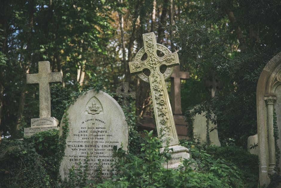 A photograph of a section of a cemetery featuring several weathered, upright gravestones surrounded by green foliage. Prominently, there is a large, ornate Celtic cross made of light-colored stone with intricate carvings, positioned on a pedestal. To the left of the cross, there are other gravestones, including one with an arched top, inscribed with the name Jane Colpoys and additional details about her death in 1893, as well as William Samuel Colpoys, who died in 1887. The gravestones are partially covered by climbing plants and greenery, with some leaves and vines encroaching upon the stone surfaces. In the background, tall trees with dense canopies provide shade, creating dappled sunlight effects on the stones. This scene illustrates a peaceful, well-maintained area suitable for house removals or furniture transport during a home relocation, with possible consideration of cemetery access for scheduled visits or special arrangements, as handled by Man with Van Highgate.