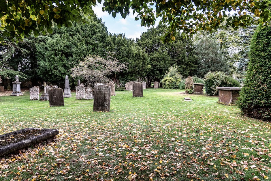 Black and white photograph of an outdoor graveyard scene with several old, weathered headstones and a large stone tomb. The tomb appears to be partially collapsed or in disrepair, with moss and lichen growing on its surface. Surrounding the graves are dense trees and foliage, casting shadows across the scene. The ground is covered with fallen leaves and small plants, indicating an overgrown and neglected area. The image captures a quiet, historic setting within a cemetery, with a focus on the aged stone structures and natural surroundings. This type of scene is relevant for discussions on cemetery access or house removals in historic locations like Highgate, as pictured in the context of a weekend access guide for [COMPANY_NAME].